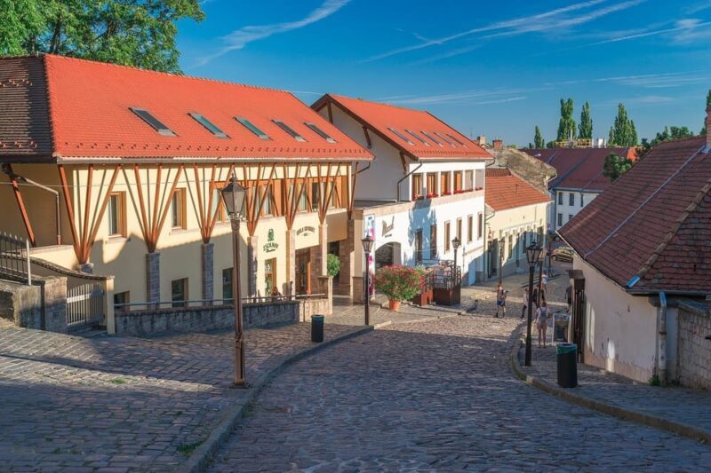 Budapest: Eger Private Day Trip with Wine Tasting with Local - Who Should Consider This Tour
