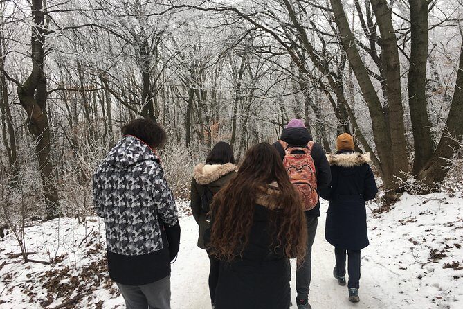 Budapest Hike - Deep Dive: Why This Tour Offers Great Value