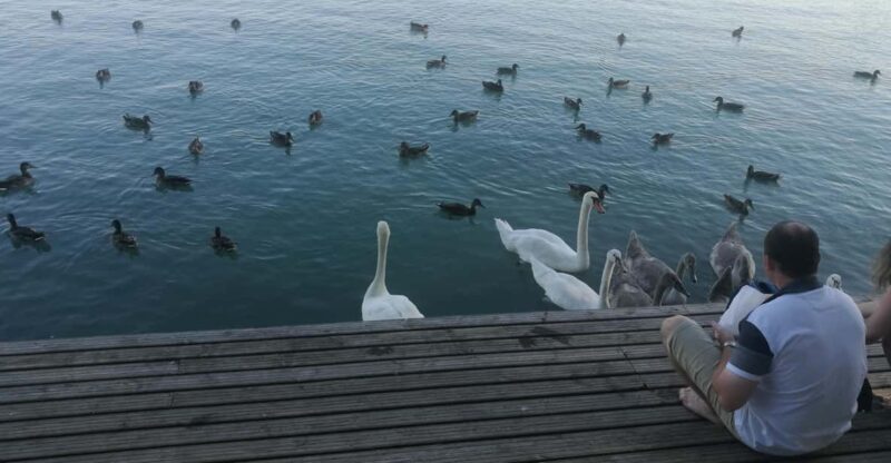 Budapest: Lake Balaton & Herend Porcelain Private Day Tour - FAQ – Practical Questions