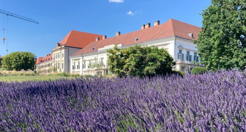 Budapest: private sightseeing tour by public transportation - Discover Budapest: private sightseeing tour by public transportation