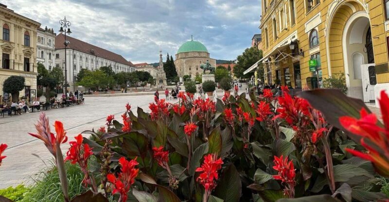 Budapest: Private Walking Tour with a Local Guide - Value and Who Will Love This Tour