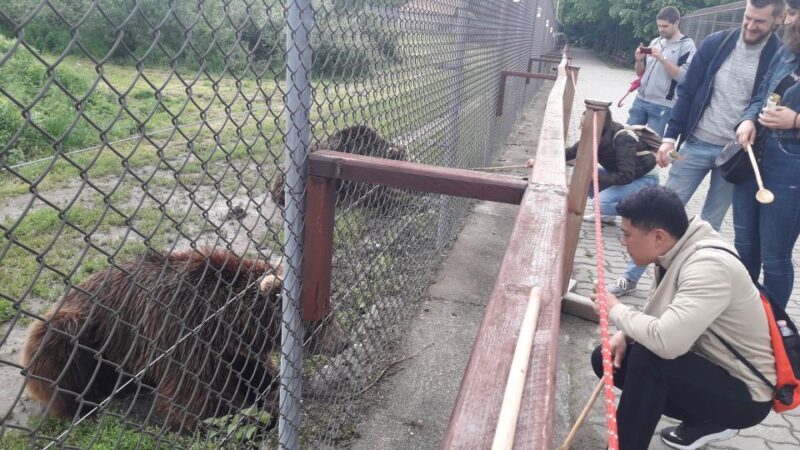 Budapest: Transport & Guided Tour of Bear and Wolf Sanctuary - Key Points