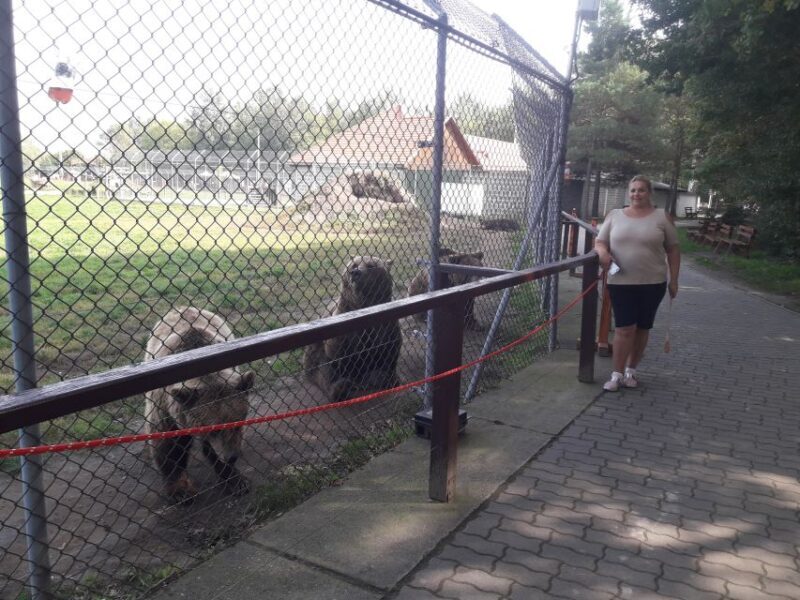 Budapest: Transport & Guided Tour of Bear and Wolf Sanctuary - Practical Considerations