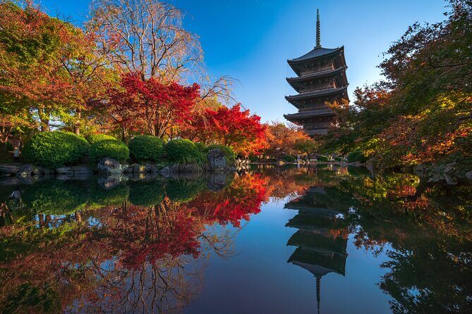Buddhist Art Lecture Tour, Toji Temple and One Thousand Kannon - A Warm Welcome to Kyoto’s Spiritual and Artistic Heart