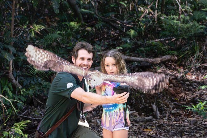 Buderim Forest Flight Owl Encounter and Tour - Exploring the Forest Flight Owl Encounter in Detail