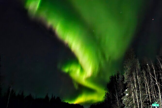 Budget Aurora Borealis tour, Fairbanks, Alaska - Key Points