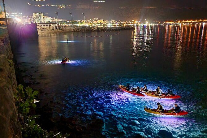 Budva: 2-Hour «Night Lights» Kayak Tour - Final Thoughts
