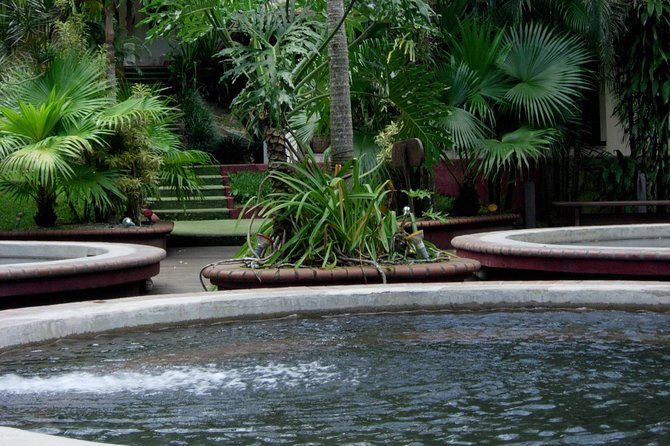 Buena Vista Combo: Day Pass Including Lunch - The Sum Up: Is the Buena Vista Combo Right for You?