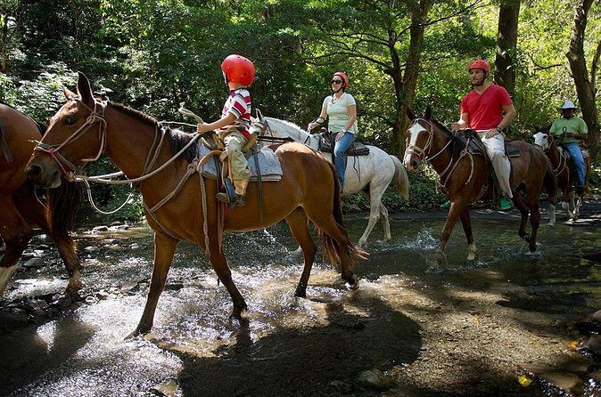 Buena Vista Combo Tour: Ziplining and Hot Springs from Guanacaste - Who Will Love This Experience?