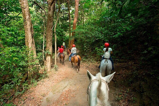 Buena Vista Mega Combo: Full Day With Private Guided Multi-Activities 8 in 1 - The Details of the Buena Vista Mega Combo