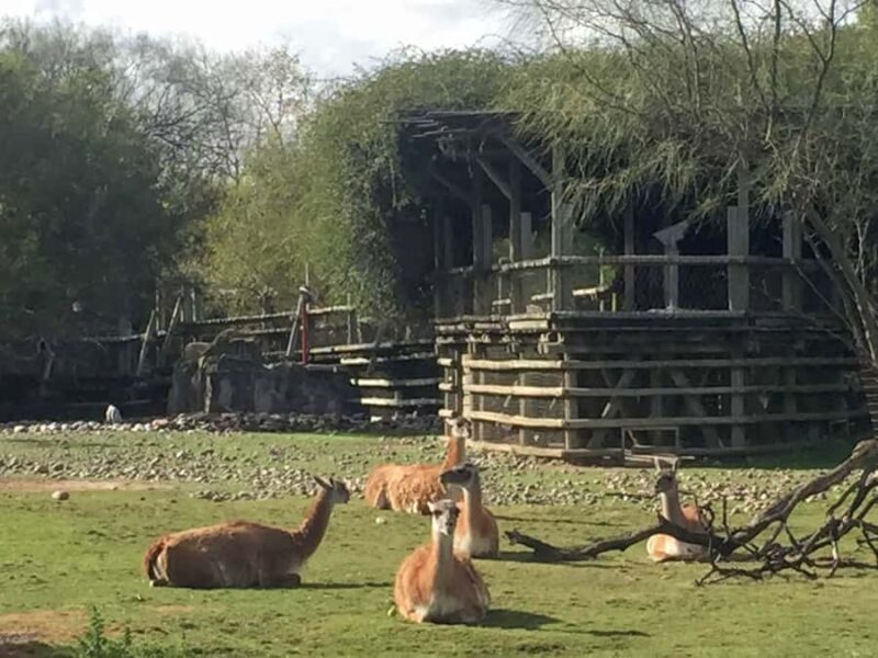 Buenos Aires: Bioparque Temaiken with Transfers - Key Points