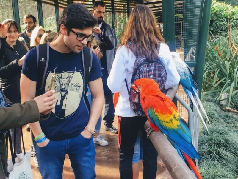 Buenos Aires: Bioparque Temaiken with Transfers - A Deeper Look at the Experience