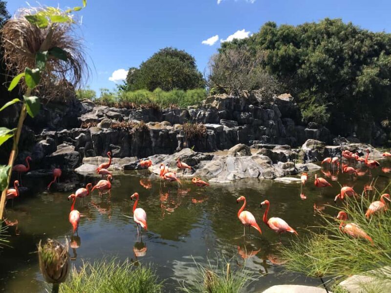 Buenos Aires: Bioparque Temaiken with Transfers - Final Thoughts