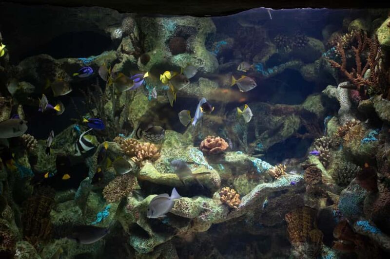 Buenos Aires: Bioparque Temaiken with Transfers - FAQ