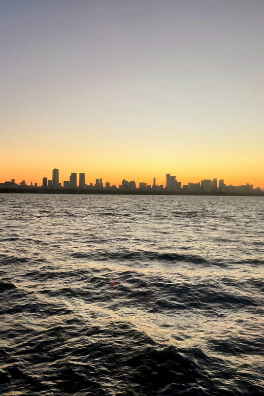 Buenos Aires: City Tour with Scenic River Cruise - Potential Drawbacks and Considerations