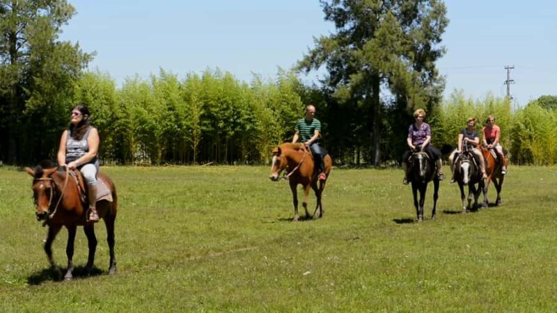 Buenos Aires: Don Silvano Ranch Gaucho Day Trip - Who Should Consider This Tour?