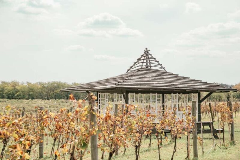 Buenos Aires: Lunch and Wine Tasting at Bodega Gamboa - FAQ