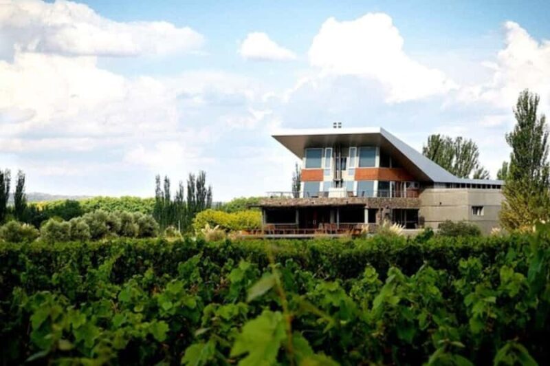 Buenos Aires: Mendoza Wine Paradise Day Trip with Airfare - Key Points