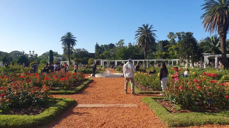 Buenos Aires: Private City Tour discovering history and culture. - Exploring Buenos Aires in Style and Comfort