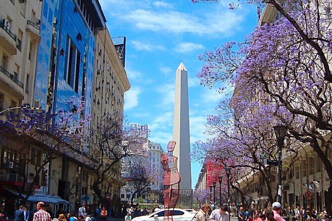 Buenos Aires Private City Tour with Local Guide - Artistic and Literary Charm