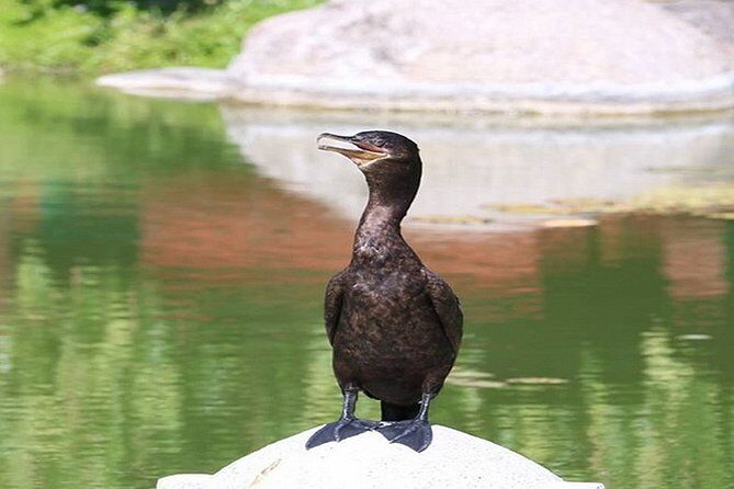 Buenos Aires Private Tour Discovering Palermo, The Japanese & Botanical Gardens - FAQs