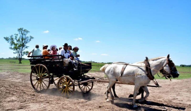 Buenos Aires: Santa Susana Ranch Day Tour, BBQ & Shows - Who Will Appreciate This Tour?