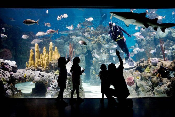 Buenos Aires: Temaiken Biopark including Transfers - The Sum Up