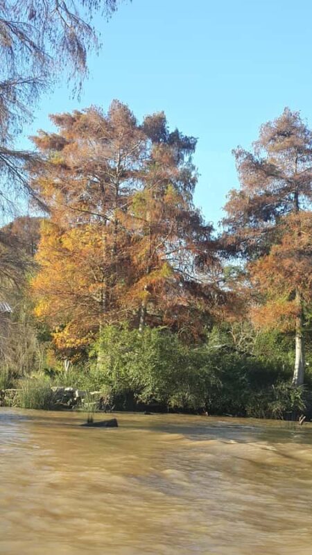 Buenos Aires: "Ticket"- 2hs of Navigation Premium to Tigre - FAQ