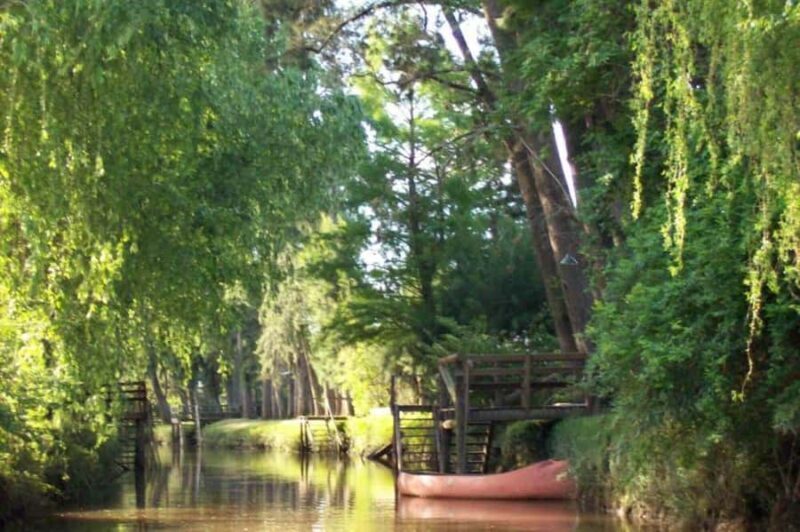 Buenos Aires: Ticket - Classic Delta of Tigre Boat Tour - Exploring Argentina’s Natural Charm: The Classic Delta of Tigre Boat Tour