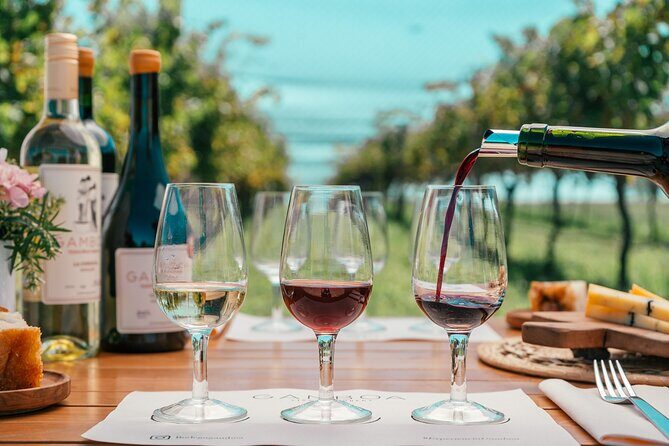 Buenos Aires: Wine tasting and lunch at Bodega Gamboa - Key Points