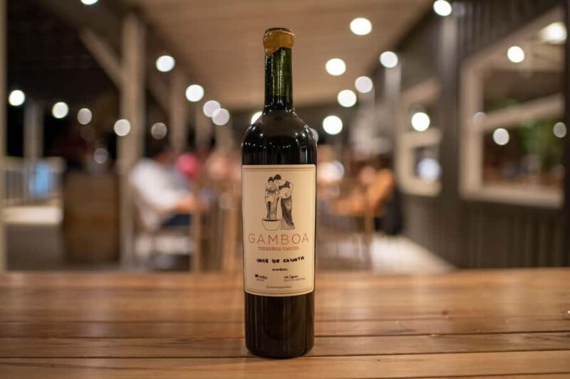 Buenos Aires: Wine Tasting and Lunch at Bodega Gamboa - Final Thoughts