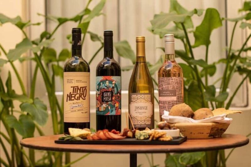 Buenos Aires: Wine Tasting Boutique - Why Is This Tour a Good Deal?