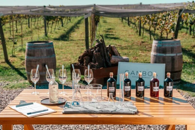 Buenos Aires: Wine Tasting & Lunch at Gamboa Vineyard - A Detailed Look at the Experience