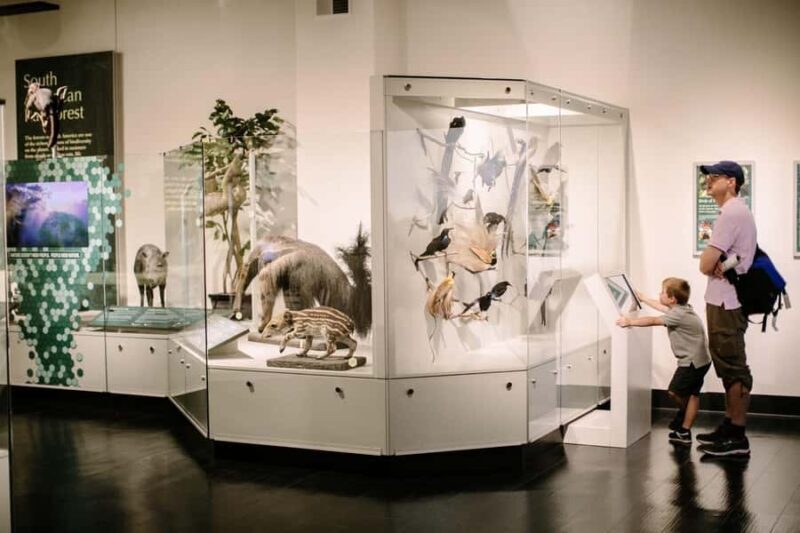 Buffalo: Admission Ticket to Buffalo Museum of Science - The Value of Your Ticket