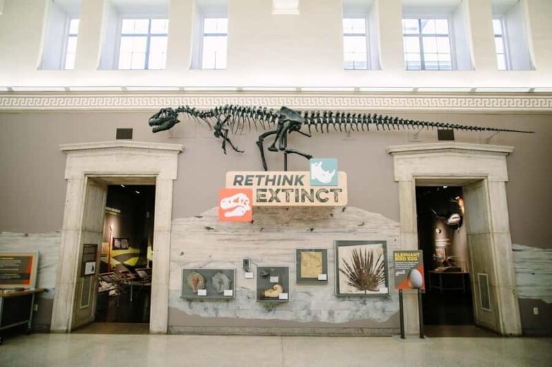 Buffalo: Admission Ticket to Buffalo Museum of Science - Authentic Experiences from Visitors