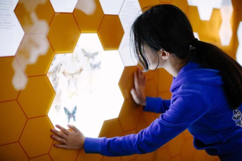 Buffalo: Admission Ticket to Buffalo Museum of Science - Practical Tips for Visiting