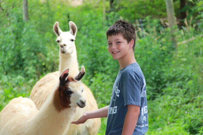 Buffalo Creek Ranch Tour Experience - FAQ