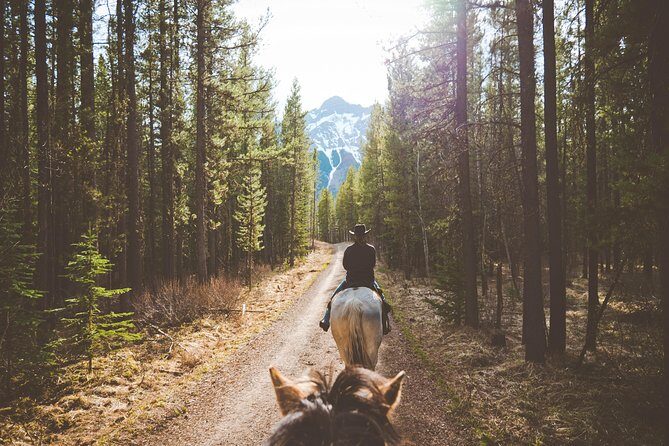 Buffalo Loop 1-Hour Horseback Trail Ride in Kananaskis - A Detailed Look at the Buffalo Loop Trail Ride Experience