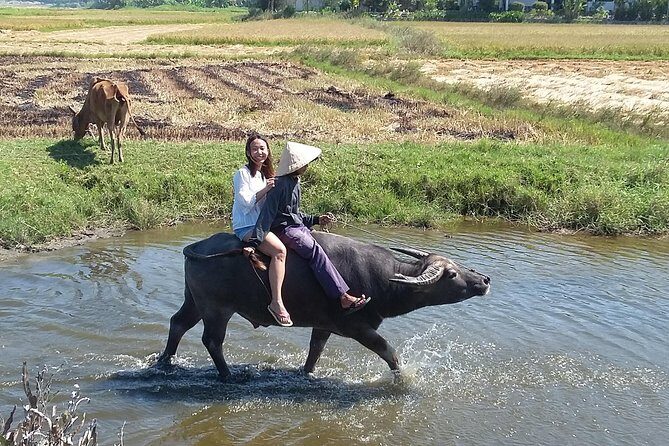 Buffalo riding and Basket Boat Half Day Tour - Frequently Asked Questions