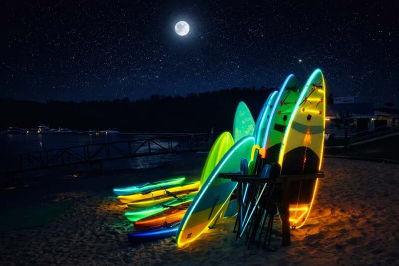 Buford: Lake Lanier Glow and Go Paddleboards & Kayaks - Who should consider this experience?