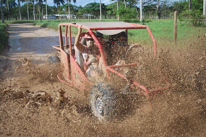 Buggies Experience From Punta Cana - Key Points
