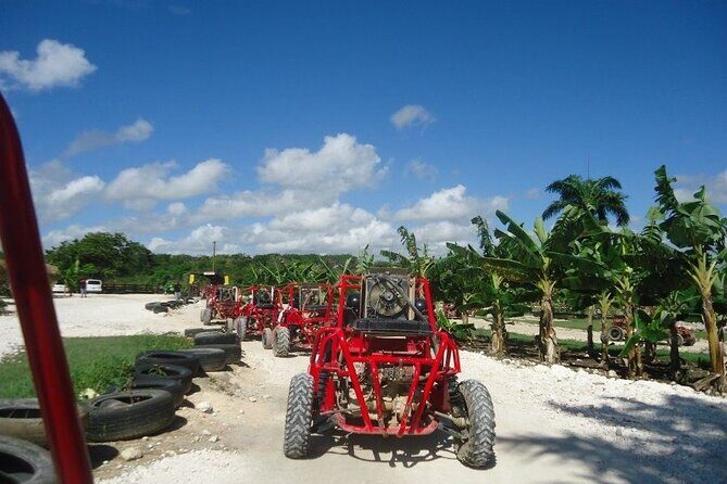 Buggies Half Day Experience and Cenote - Frequently Asked Questions