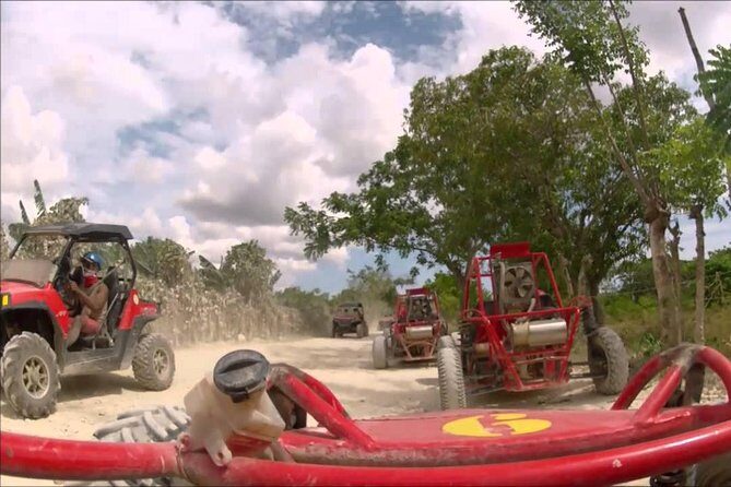 Buggies Punta Cana Macao - Discover the Charm of the Dominican Countryside with Buggies Punta Cana Macao