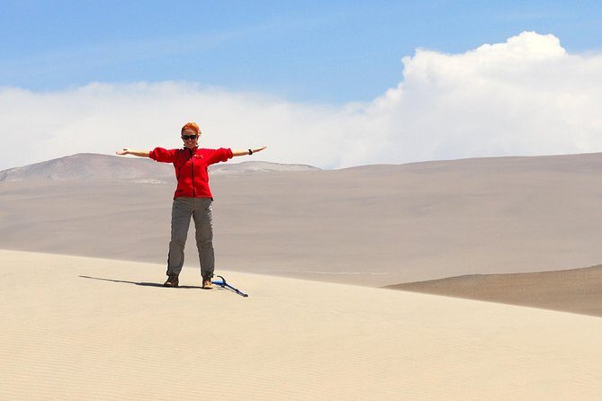 Buggies & Sandboard from Paracas - An Exciting Day in the Dunes: Buggies & Sandboard from Paracas