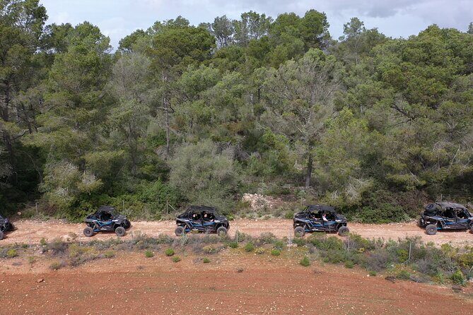 Buggy 2-seater and 4-seater Off-On Road Tour in Mallorca - A Detailed Look at the Mallorca Buggy Tour