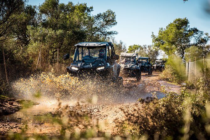 Buggy 2-seater and 4-seater Off-On Road Tour in Mallorca - Final Thoughts