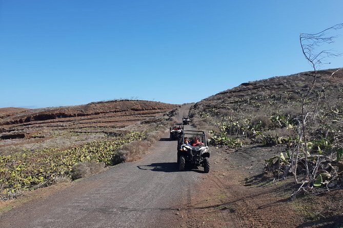 Buggy 3h Guided tour of the north of Lanzarote - Final thoughts: Is this the right tour for you?