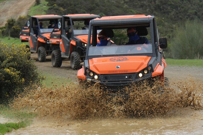 Buggy Adventure with Incredible Views of the Sea and the Reservoir - Overview of the Marbella Buggy Adventure