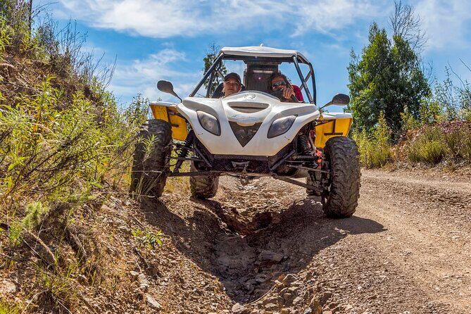 Buggy dirt and splash tour off/on road - An In-Depth Look at the Buggy Dirt & Splash Tour
