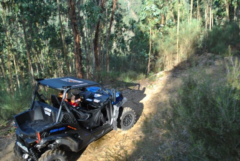 Buggy Experiences - Key Points